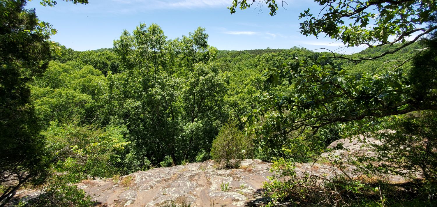 Rim Rock Rec Area - Rim Rock Rec Trail 